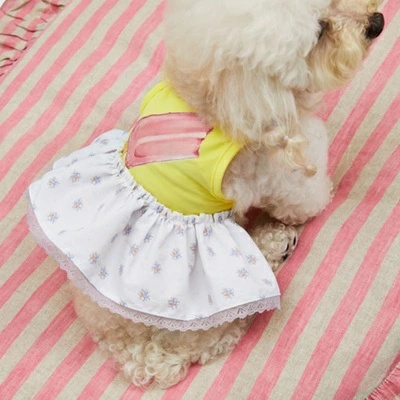 louisdog ルイスドッグのおすすめ人気商品一覧 通販 - Yahoo