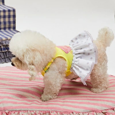 louisdog ルイスドッグのおすすめ人気商品一覧 通販 - Yahoo