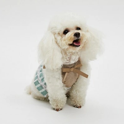 louisdog ルイスドッグのおすすめ人気商品一覧 通販 - Yahoo