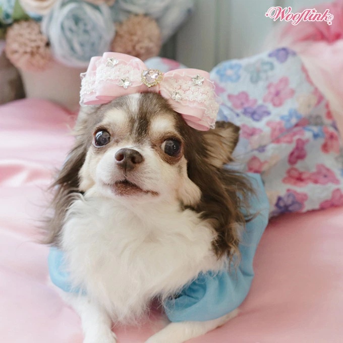 【新品未使用】ウーフリンク WINTER PRINCESS レッド　サイズ3 TIARA PETS JAPAN - WOOFLINK ウーフリンク｜Yahoo!ショッピング