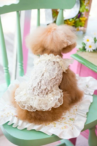 ブルブブ BUL BU-BU キラキラリボンキャミ SSS/SS/SSL/S【小型犬 犬服 トップス キャミソール タンクトップ セレブ】の画像