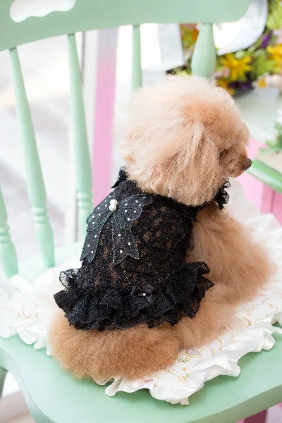 ブルブブ BUL BU-BU キラキラリボンキャミ SSS/SS/SSL/S【小型犬 犬服 トップス キャミソール タンクトップ セレブ】の画像