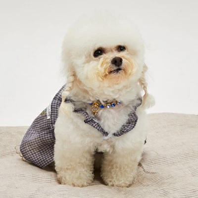 louisdog　ルイスドッグ　ポンポンジャンパー　Sサイズ louisdog ルイスドッグ ポンポンジャンパー Sサイズ - 犬服
