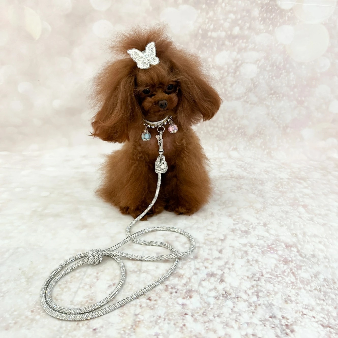 フォーペッツオンリー For Pets Only Pastel Game Collar Silver【犬用 カラー 首輪 セレブ】_1