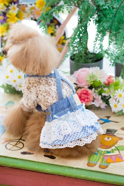 BUL BU-BU デニムジャンバースカート　Sサイズ ブルブブ BUL BU-BU Gingham DENIM S/K【小型犬 犬服 スカート
