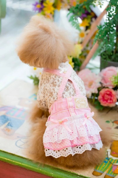 ブルブブ BUL BU-BU Gingham DENIM S/K【小型犬 犬服 スカート