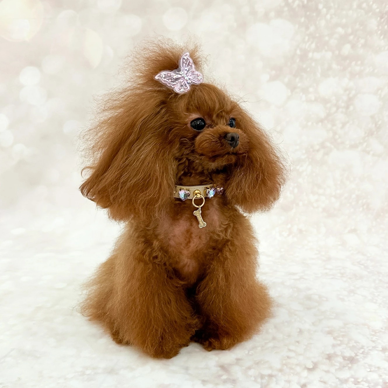フォーペッツオンリー For Pets Only Lilac Candy Diamond Collar【小型犬用 犬用 カラー 首輪 お散歩 セレブ】_1