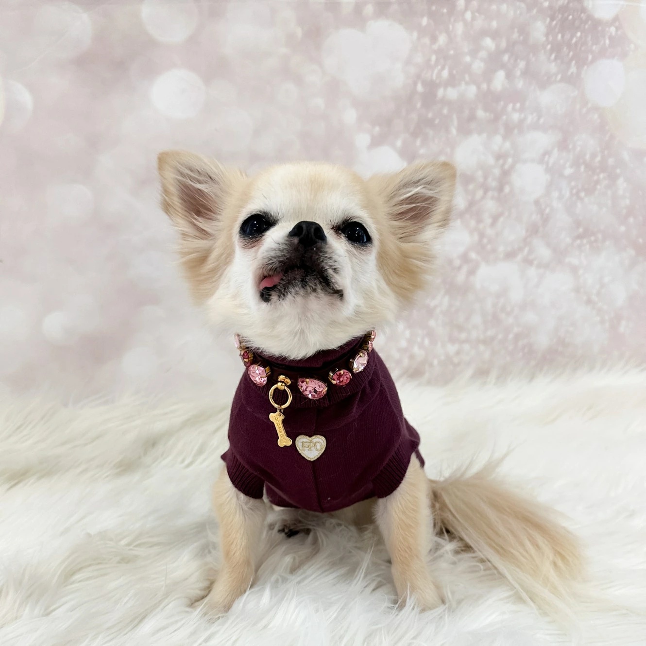 フォーペッツオンリー For Pets Only Burgundy Candy Diamond Collar【小型犬用 犬用 カラー 首輪 セレブ】_1