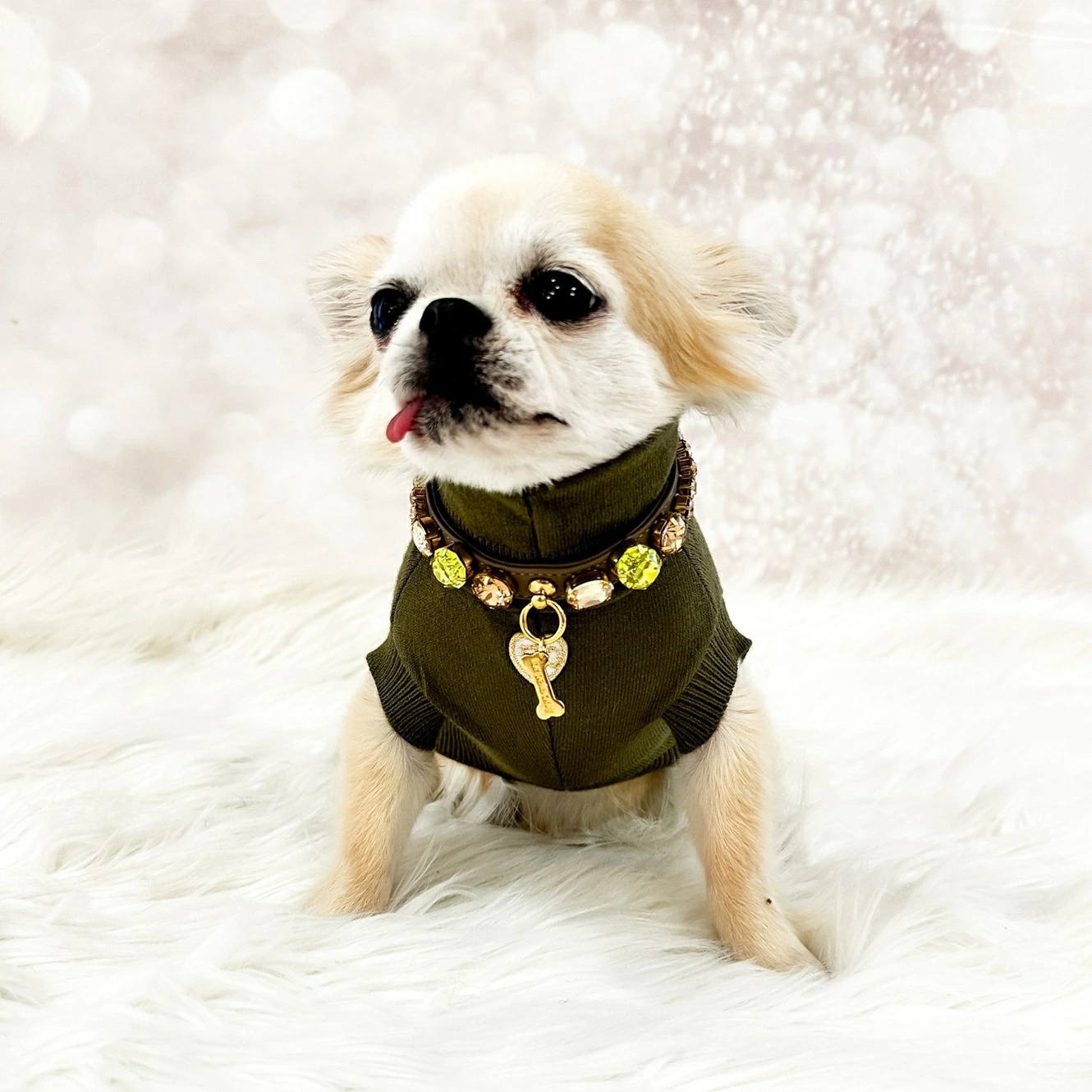 フォーペッツオンリー For Pets Only Peridot Candy Diamond Collar【小型犬用 犬用 カラー 首輪 セレブ】_1