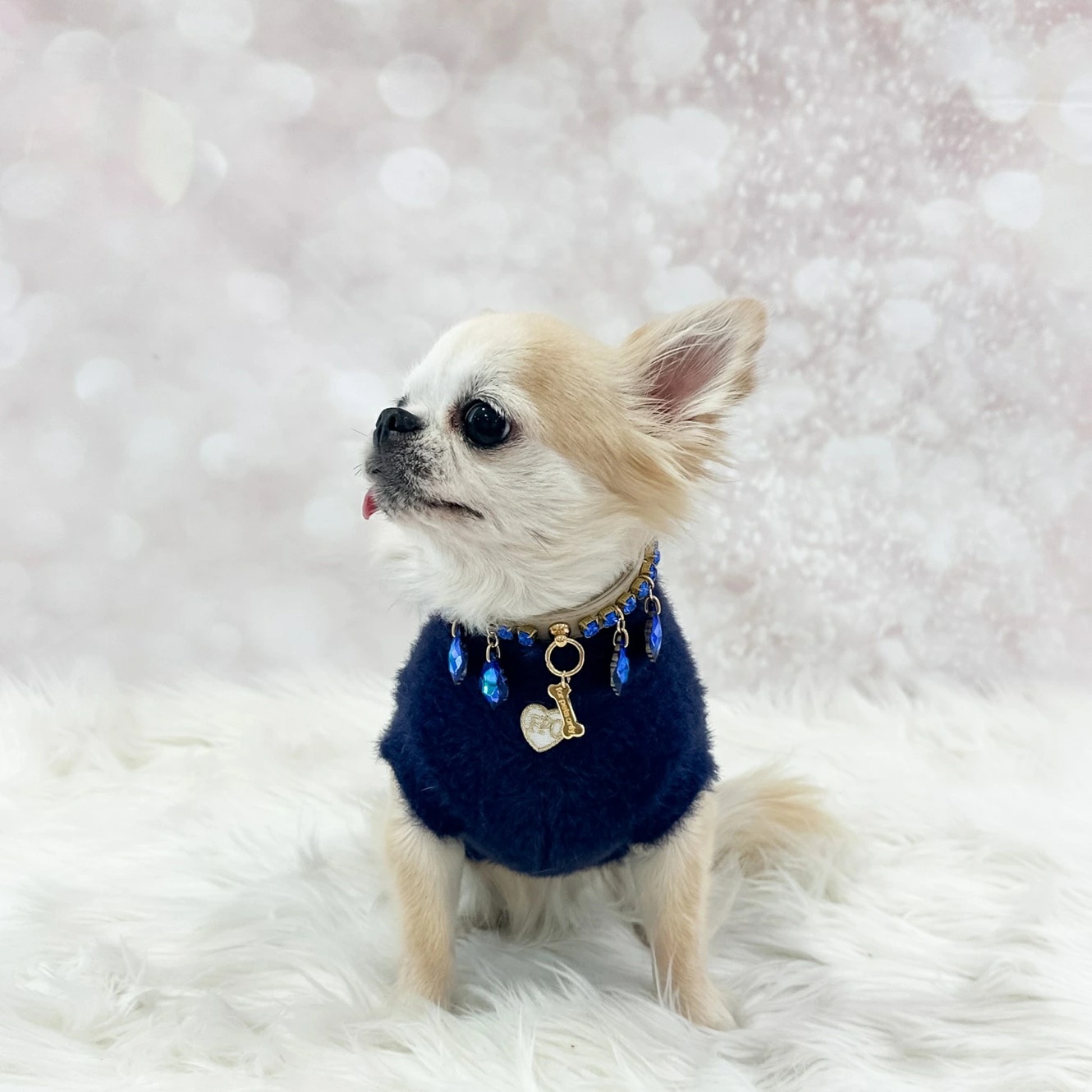 フォーペッツオンリー For Pets Only More Amore Pull Deep Blue【小型