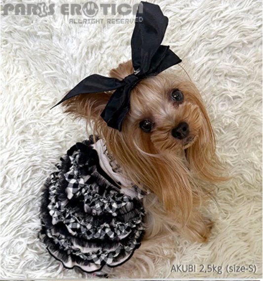 パリエロのおすすめ人気商品一覧 通販 - Yahoo!ショッピング