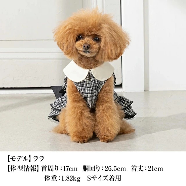 クレイジーブー CRAZYBOO 腰リボンチェックワンピ【犬服 小型犬