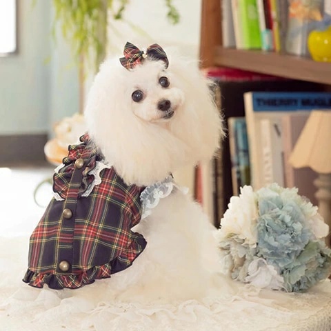きゃんナナ CanNana クラシカルフリルブラウス 1167【小型犬 犬服 トップス ブラウス シャツ】の画像