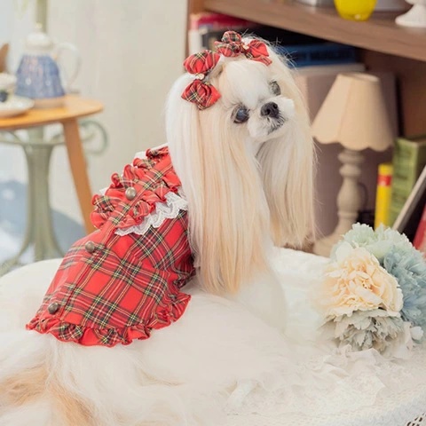 きゃんナナ CanNana クラシカルフリルブラウス 1167【小型犬 犬服 トップス ブラウス シャツ】の画像