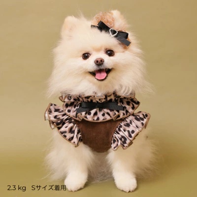 ゴットピバ新作新品サイズS M godpiva 犬服のおすすめ人気商品一覧 通販 - Yahoo!ショッピング