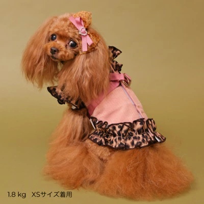 ゴッドピヴァ GODPIVA テラヘルツレオパードハーネス【小型犬 犬服