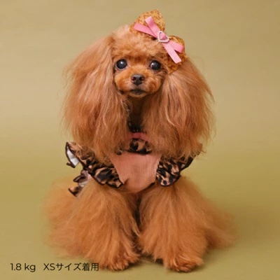 ゴッドピヴァ GODPIVA テラヘルツレオパードハーネス【小型犬 犬服