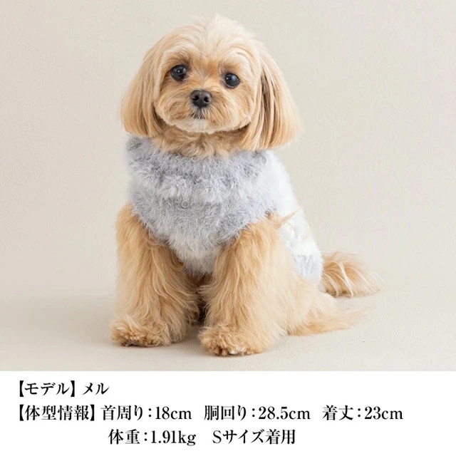 クレイジー ブーのおすすめ人気商品一覧 通販 - Yahoo!ショッピング