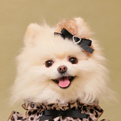 ゴッドピヴァ GODPIVA レオパードパフバレッタ【小型犬 犬用 ヘア