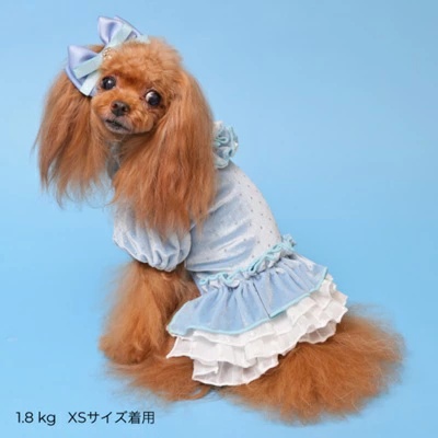 ゴッドピヴァ GODPIVA★ご予約★ドットプリマワンピース【小型犬 犬服 ワンピース ドレス スカート】の画像