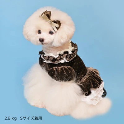 ゴッドピヴァ GODPIVA★ご予約★ドットプリマワンピース【小型犬 犬服 ワンピース ドレス スカート】の画像
