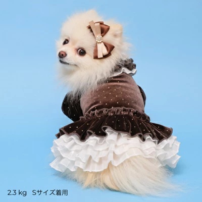 ゴッドピヴァ GODPIVA★ご予約★ドットプリマワンピース【小型犬 犬服 ワンピース ドレス スカート】の画像