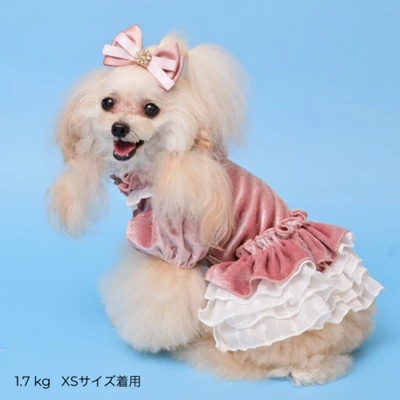 ゴッドピヴァ GODPIVA★ご予約★ドットプリマワンピース【小型犬 犬服 ワンピース ドレス スカート】の画像