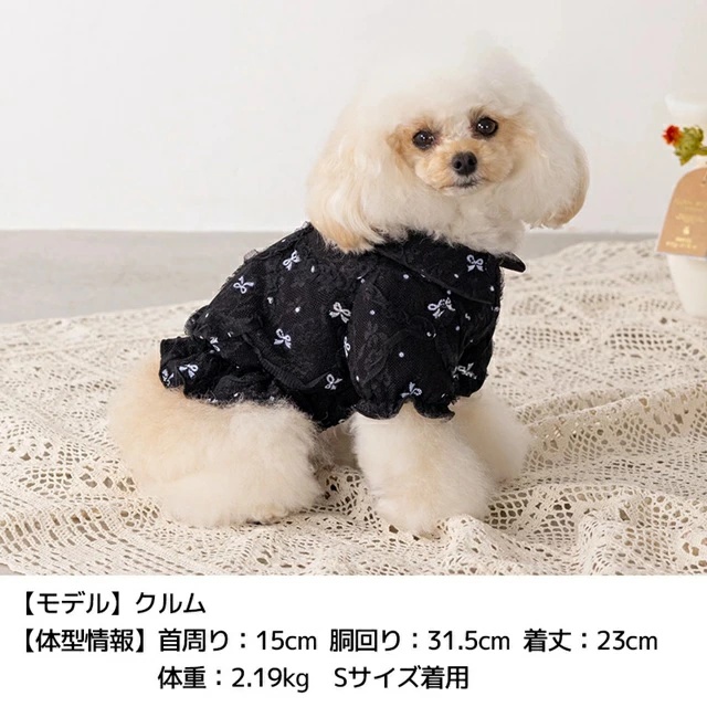 ブラウス リボン（ペット用品、生き物）のおすすめ人気商品一覧 通販