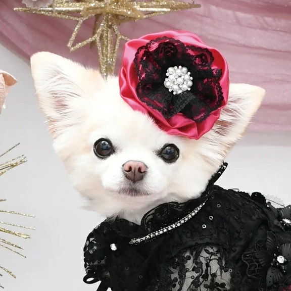 TIARA PETS JAPAN - Luxe Birdie リュクスバーディ｜Yahoo!ショッピング