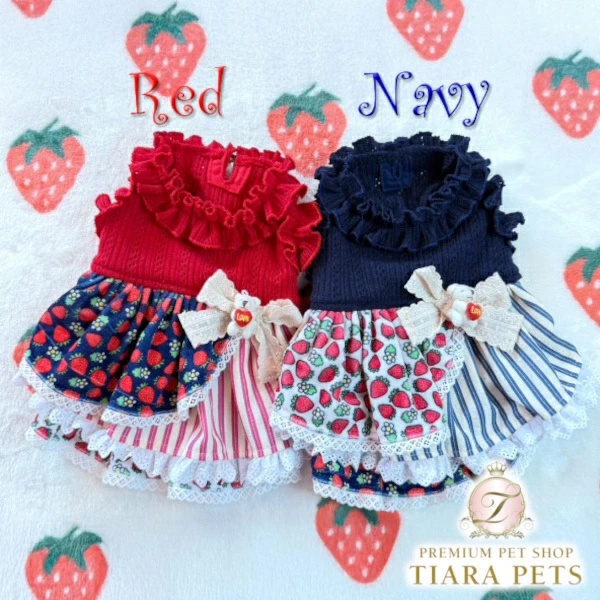 サーカスサーカス circus ☆先行予約10月中〜下旬☆Toy Bear Dress up