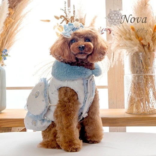 グラマーイズム Glamourism ノヴァ（Nova） SS/S/SM/M【小型犬 犬服