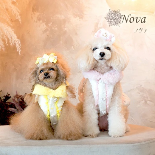 グラマーイズム Glamourism ノヴァ（Nova） SS/S/SM/M【小型犬 犬服