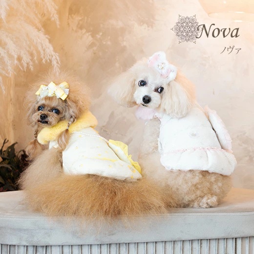 グラマーイズム Glamourism ノヴァ（Nova） SS/S/SM/M【小型犬 犬服