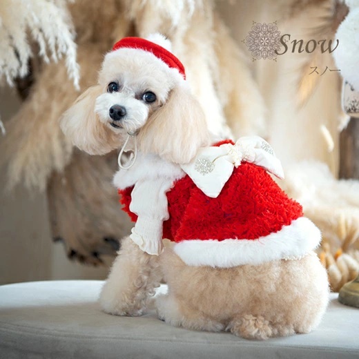 グラマーイズム Glamourism スノー（Snow） SS/S/SM/M【小型犬 犬服