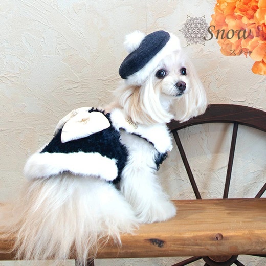 グラマーイズム 犬服のおすすめ人気商品一覧 通販 - Yahoo!ショッピング