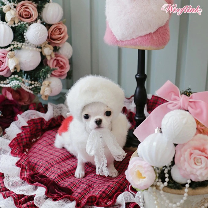 TIARA PETS JAPAN - WOOFLINK ウーフリンク｜Yahoo!ショッピング