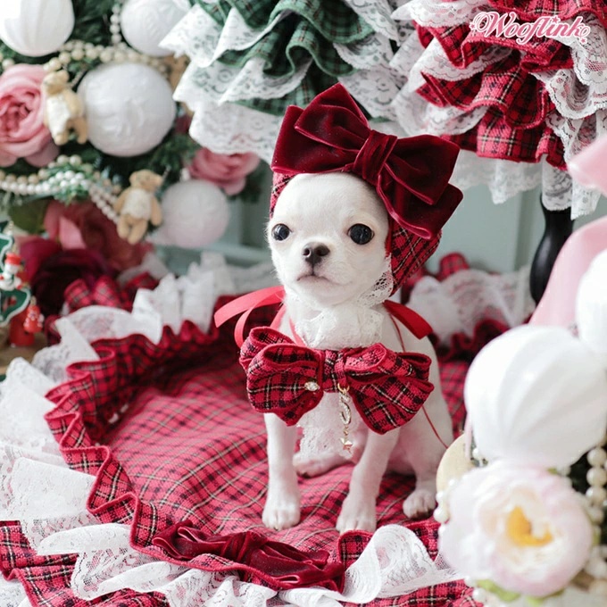 TIARA PETS JAPAN - WOOFLINK ウーフリンク｜Yahoo!ショッピング