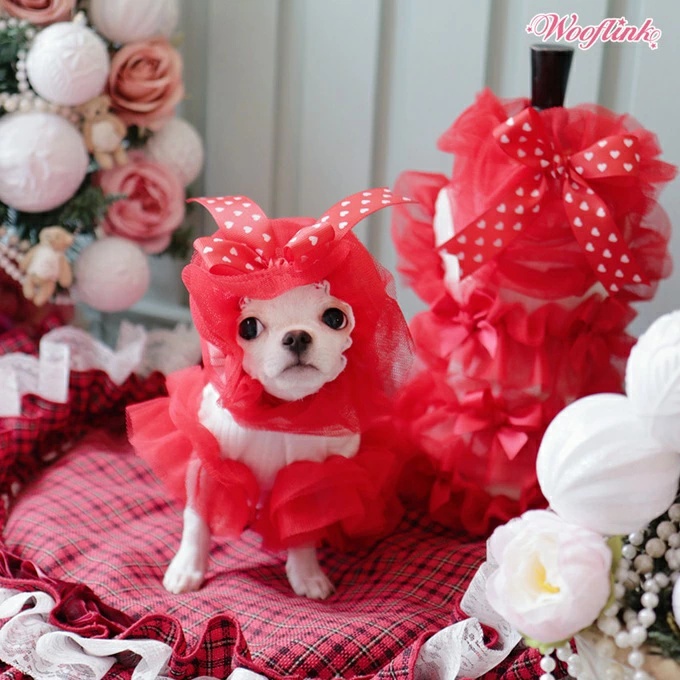 TIARA PETS JAPAN - WOOFLINK ウーフリンク｜Yahoo!ショッピング