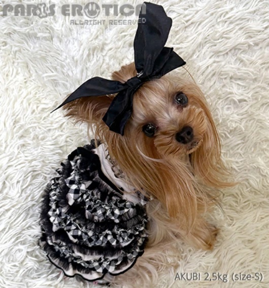 パリエロのおすすめ人気商品一覧 通販 - Yahoo!ショッピング