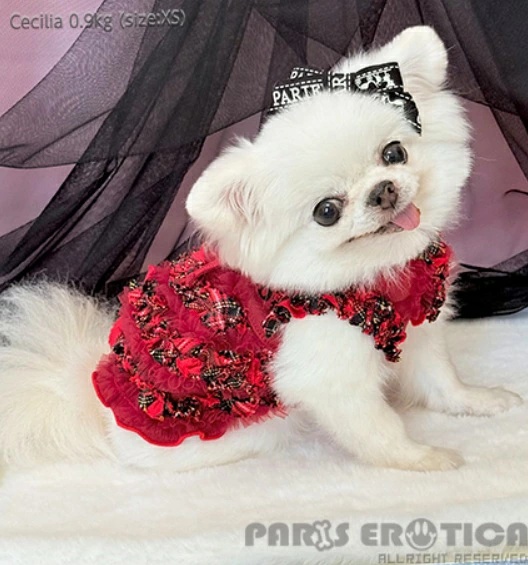 パリエロのおすすめ人気商品一覧 通販 - Yahoo!ショッピング