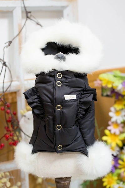 ブルブブ BUL BU-BU キラキラベア中綿P/K XXS/XS【小型犬 犬服