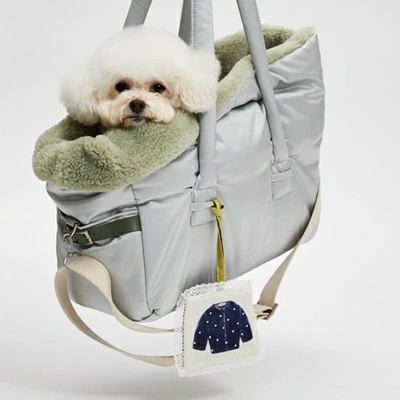 TIARA PETS JAPAN - louisdog ルイスドッグ｜Yahoo!ショッピング