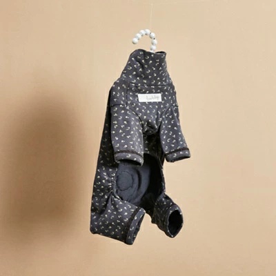 TIARA PETS JAPAN - louisdog ルイスドッグ｜Yahoo!ショッピング