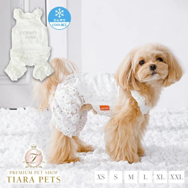 リュクスバーディ Luxe birdie ブーケロンワンピース SS/S/M/L【小型犬