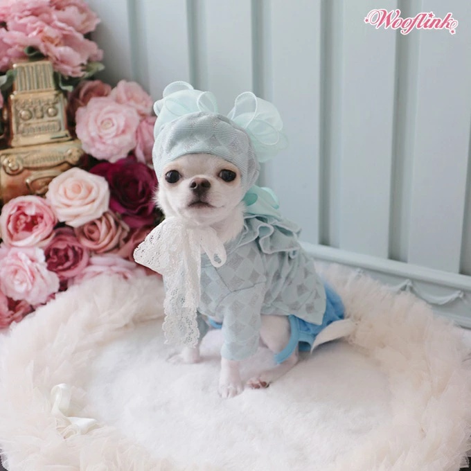 TIARA PETS JAPAN - WOOFLINK ウーフリンク｜Yahoo!ショッピング