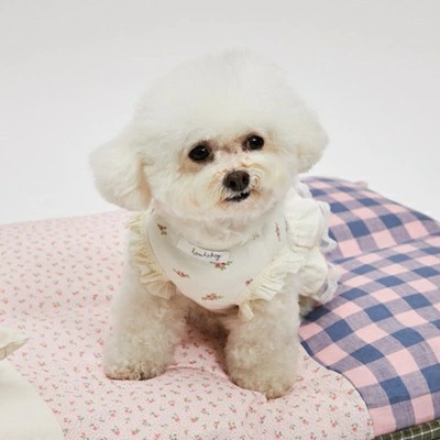 TIARA PETS JAPAN - louisdog ルイスドッグ｜Yahoo!ショッピング
