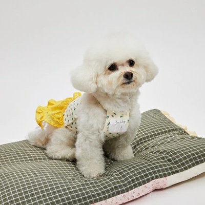 TIARA PETS JAPAN - louisdog ルイスドッグ｜Yahoo!ショッピング