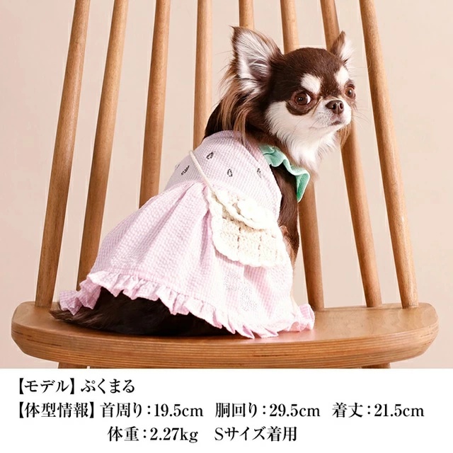 クレイジーブー CRAZYBOO フルーツポシェットワンピ XS/S【犬服