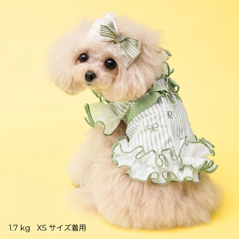 【値下対応中！】新品未使用godpiva COOLデニムハーネス リボン柄 S ゴッドピヴァ GODPIVA COOLストライプリボンハーネス XXS/XS/S/SM/M