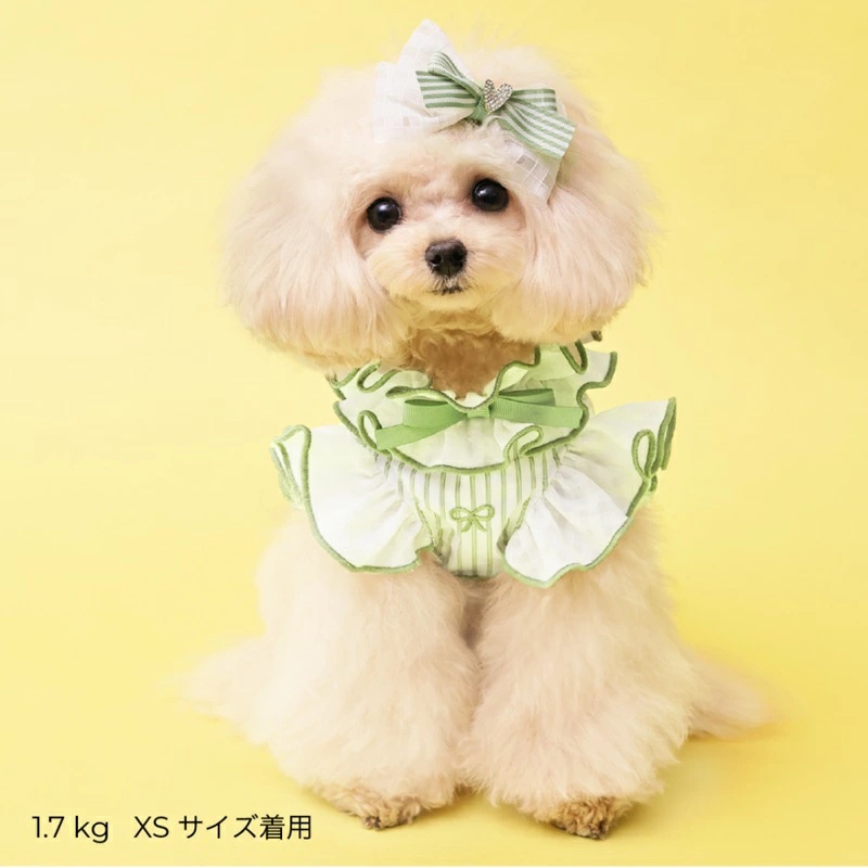 ゴッドピヴァ GODPIVA COOLストライプリボンハーネス XXS/XS/S/SM/M